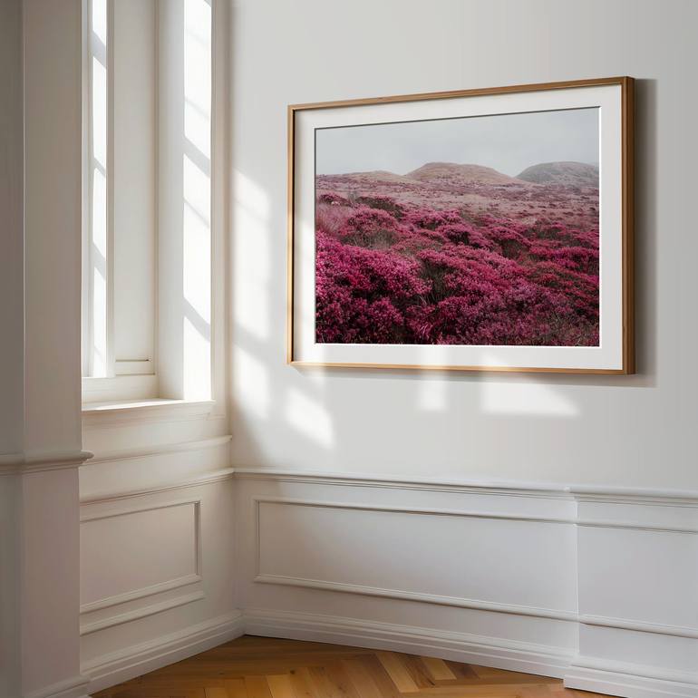 Original Contemporary Nature Photography by Tommy Lei