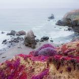 Collection Best of 2024: Photography