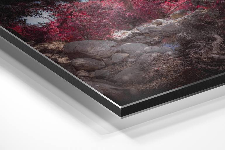 Original Contemporary Seascape Photography by Tommy Lei