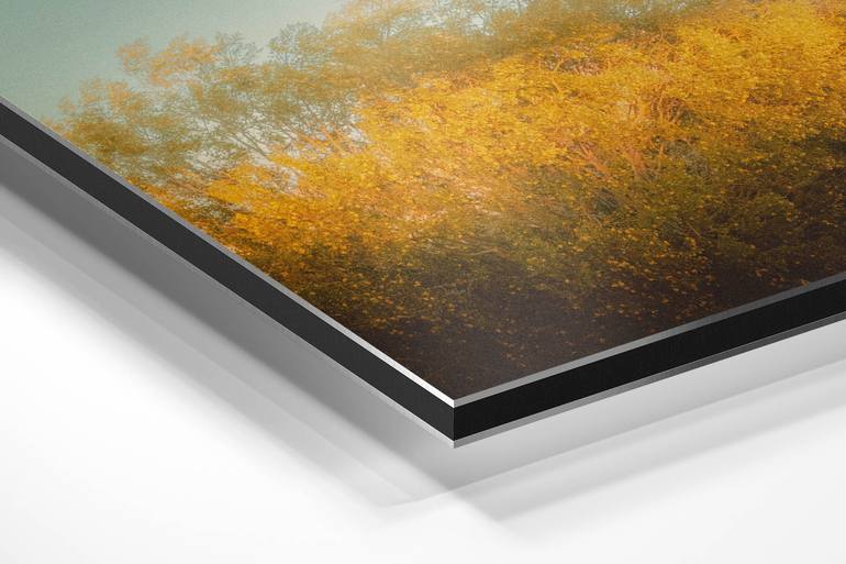 Original Contemporary Landscape Photography by Tommy Lei