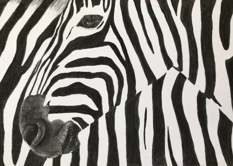 Zebra' tribal bodypaint cuts fly bites 10-fold: study