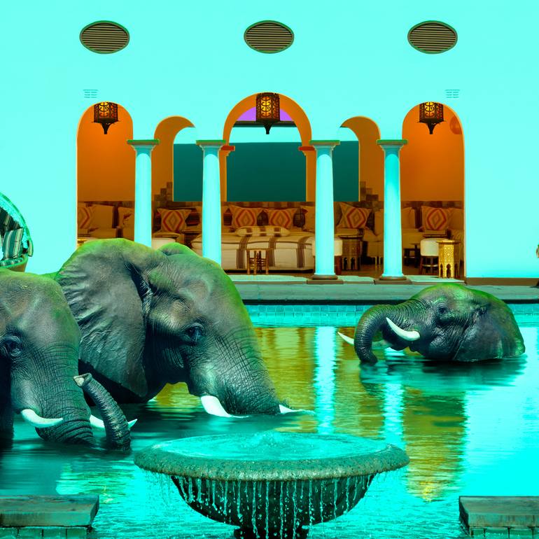 Original Modernism Animal Photography by Bodhi Del Mar