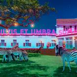 Africa VI Pulvis Et Umbra Sumus - Limited Edition of 100 by Bodhi Del Mar