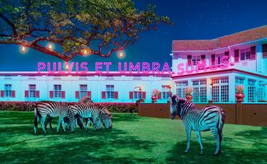 Africa VI Pulvis Et Umbra Sumus - Limited Edition of 100 thumb