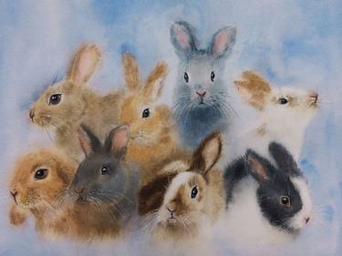 Eight fluffy rabbits thumb