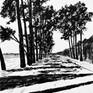 view additional image 1