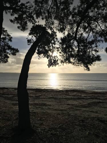 Original Beach Photography by Frederic Cadiou