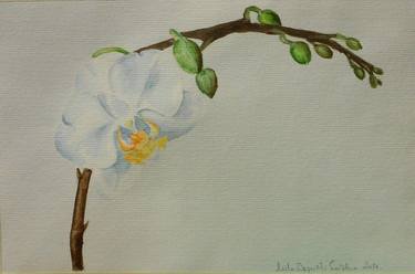 Original Realism Floral Paintings by Mila Dzigurski Sadzakov