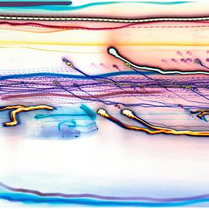 Collection Metro Motion