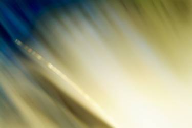 Original Abstract Photography by william oldacre