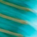 Collection Light Signatures