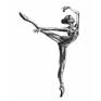 Collection Ballet dance art