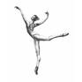 Collection Ballet dance art