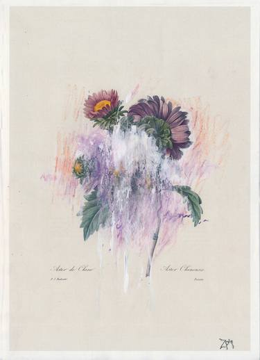 Purple - oil /gouache on illustrated botanical plate/paper thumb