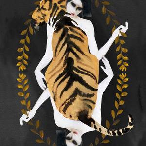 Collection Tiger King