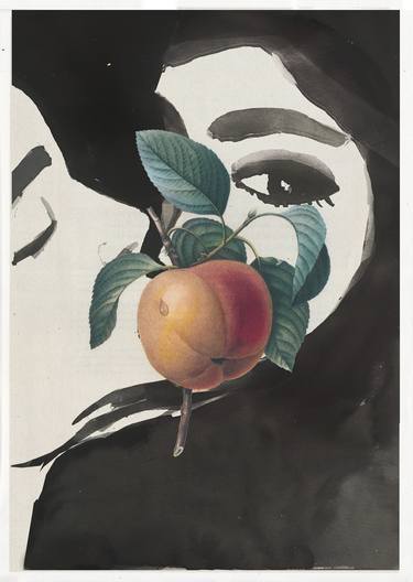 Apple - Acrylic, ink on illustrated botanical plate/paper thumb