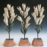 Desert Yucca by SUZANNE M KANE