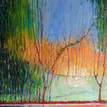 Wooded lakeside by Paul O'Dell