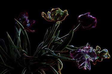 Print of Abstract Botanic Photography by Heike Seyffarth