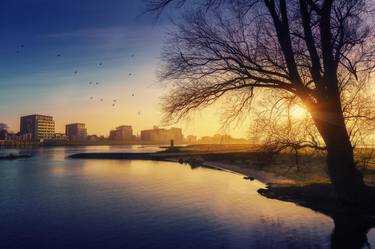 Sunrise over cityscape of Deventer with trees and birds. - Limited Edition of 10 thumb