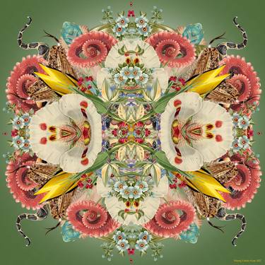 Original Contemporary Floral Digital by Wendy Fabels Kruse