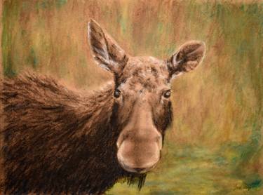Original Impressionism Animal Drawing by Jan Vogo