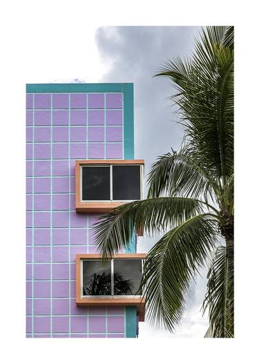 miami palm tree - Limited Edition of 15 + 2AP thumb