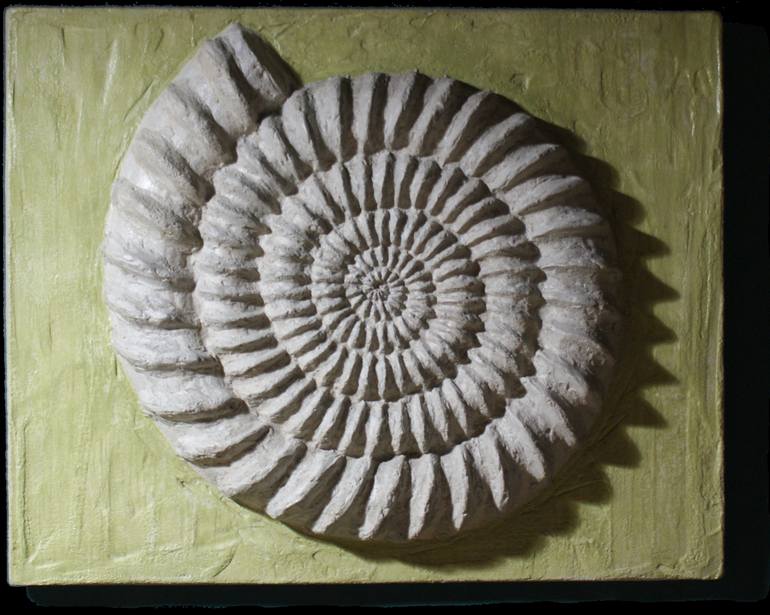TIME - The imperturbability of the ammonite - Print