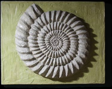 TIME - The imperturbability of the ammonite thumb