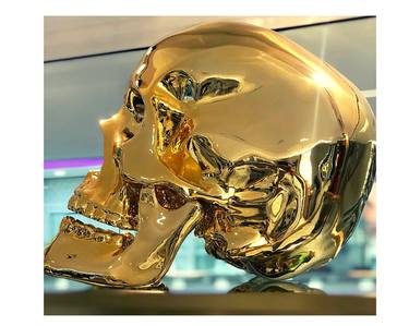Chrome Gold Human Skull thumb