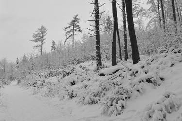 Original Landscape Photography by Jiří Dvořák