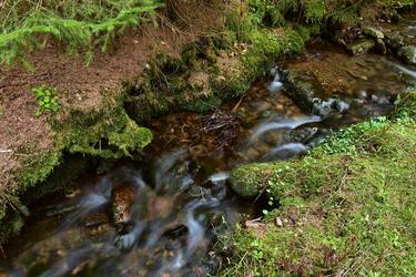 Original Abstract Nature Photography by Jiří Dvořák