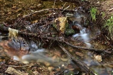 Original Abstract Nature Photography by Jiří Dvořák