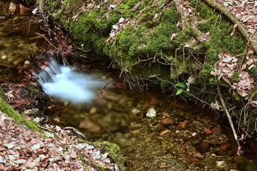 Original Abstract Nature Photography by Jiří Dvořák