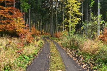 Original Nature Photography by Jiří Dvořák