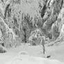 view additional image 1