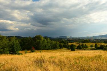 Summer landscape thumb