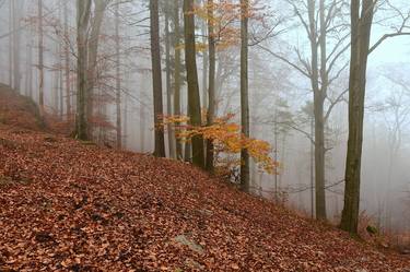 Original Abstract Landscape Photography by Jiří Dvořák