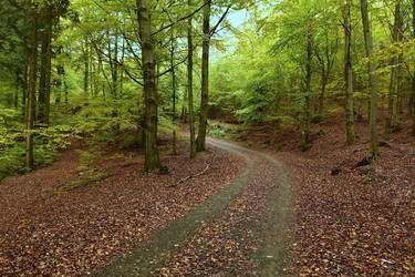 Original Landscape Photography by Jiří Dvořák