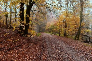 Original Abstract Landscape Photography by Jiří Dvořák