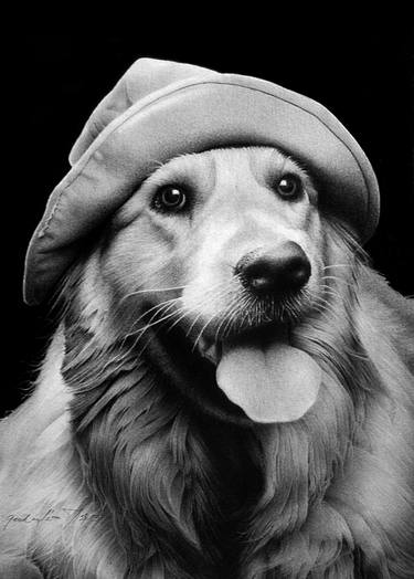 Original Photorealism Dogs Drawings by Miro Gradinscak