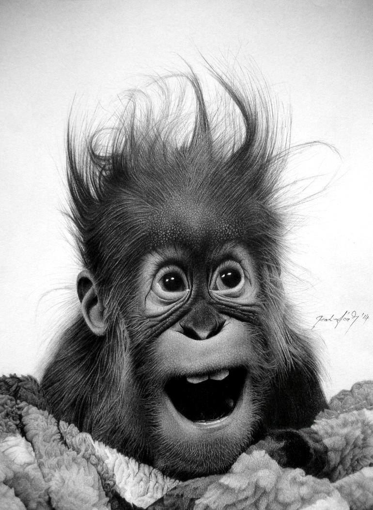 Print of Photorealism Animal Drawings by Miro Gradinscak