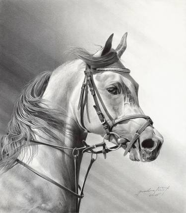 Original Photorealism Horse Drawings by Miro Gradinscak