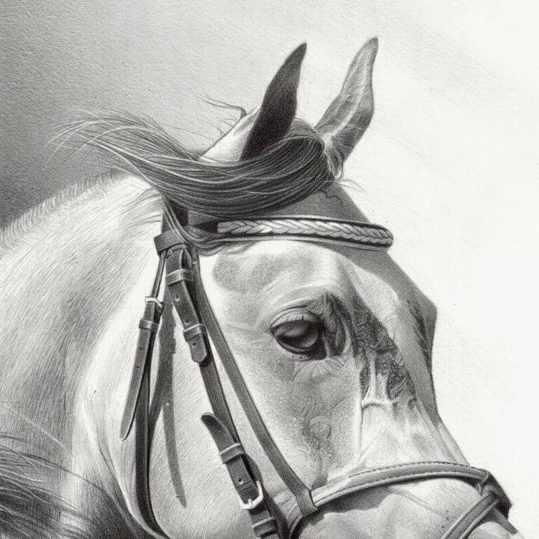 Original Photorealism Horse Drawing by Miro Gradinscak