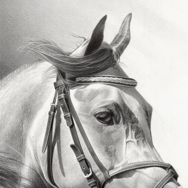 Original Horse Drawing by Miro Gradinscak