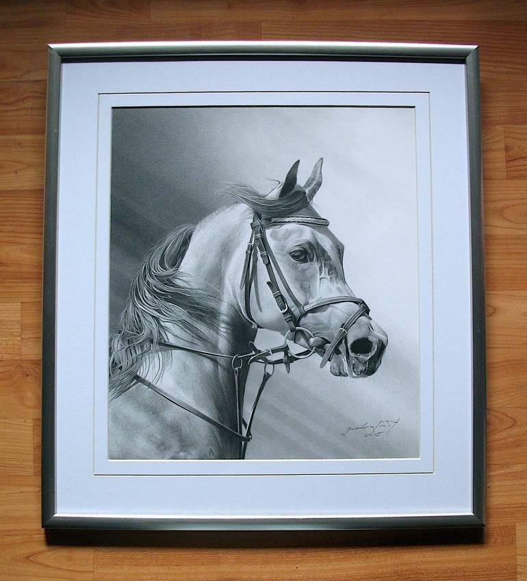 Original Photorealism Horse Drawing by Miro Gradinscak