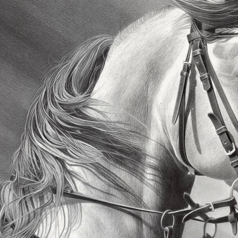 Original Horse Drawing by Miro Gradinscak