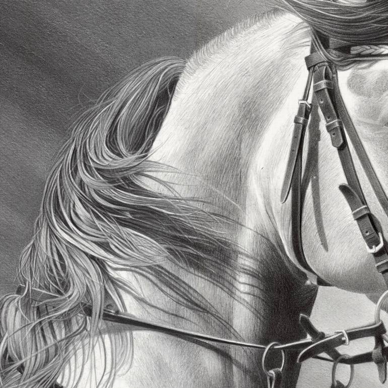 Original Photorealism Horse Drawing by Miro Gradinscak