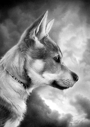 Print of Photorealism Dogs Drawings by Miro Gradinscak