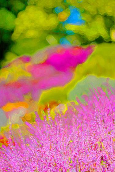 Print of Abstract Garden Photography by Christine Ellwood